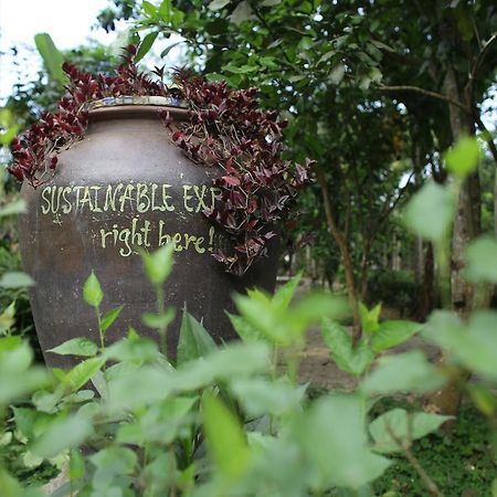 Thuy Bieu Homestay Hue Exterior foto