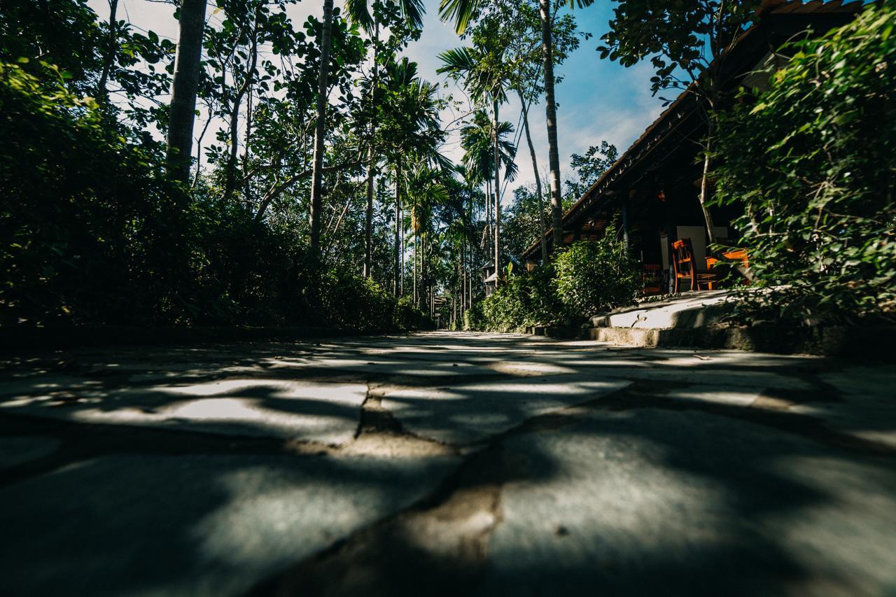 Thuy Bieu Homestay Hue Cameră foto